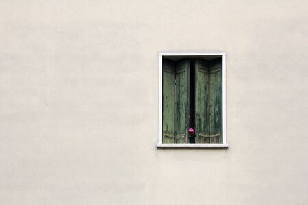 The red flower on a green windowの写真素材