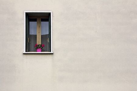 The red flowers on a green windowの写真素材
