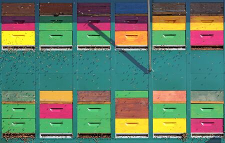 Colorful hive of bees in a meadow near the forestの写真素材