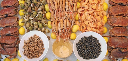 Fresh crab, shrimp, prawns and sea snails, stacked on iceの写真素材