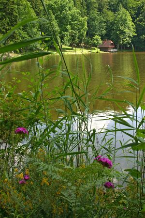 A small wooden hut on the shores of Lakeの写真素材