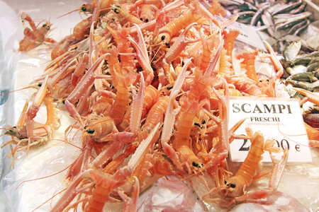 A bunch of fresh scampi in a fish marketの写真素材