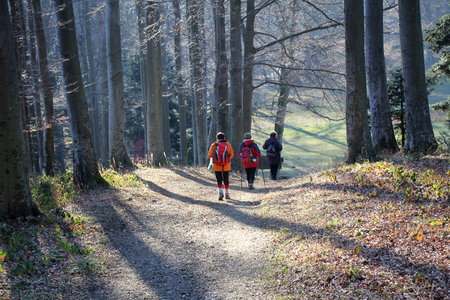 Rear view three women hiking on path in woodsの写真素材