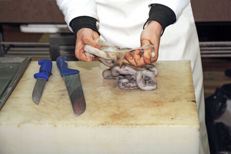 A worker cleaning a fresh octopus in the fishmonger の写真素材