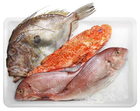 Fresh Scorpaenidae, John Dory  and Dentex, quality and delicious fish, solated on white backgroundの写真素材