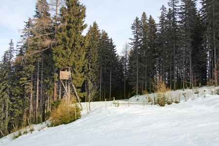 Wildlife observation point, hunting tower, on the fir tree, winter and snowの写真素材
