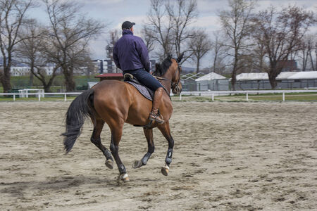 Man on horseback in enjoying recreational ridingの写真素材