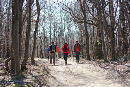 Rear view party people hiking on path in woodsの写真素材