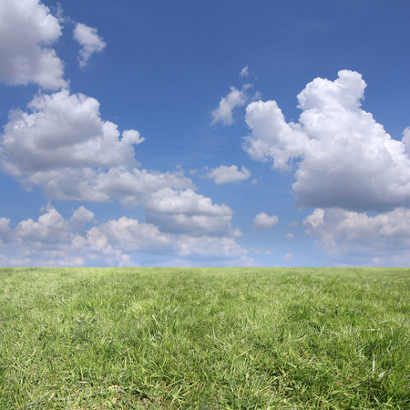 Background of cloudy sky and green grass の写真素材
