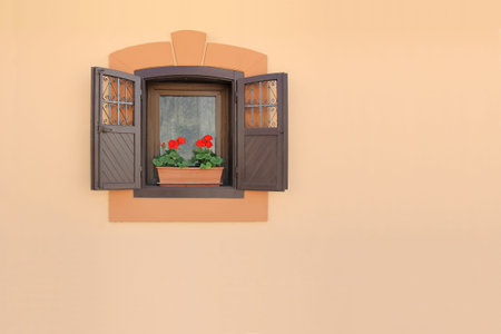 Red flowers on a old brown wooden window 