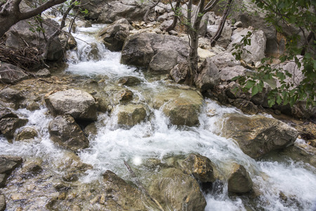 Beautiful mountain stream located in the Paklenica National Park in Croatiaの写真素材