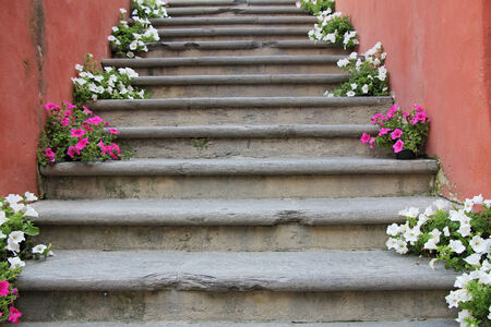 Red and white flowers on old concrete stairs の写真素材