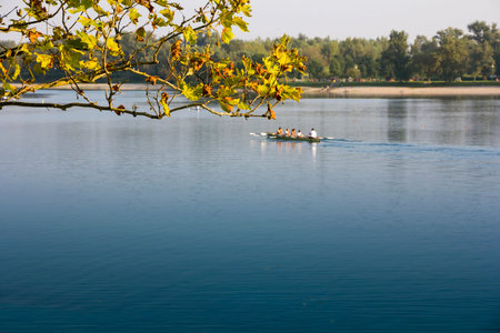 A group of men and women in the boat, rowing in the calm lake