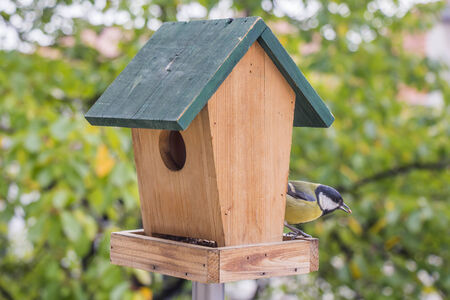 Birds Titmouse feeding on a small wooden birds houseの写真素材