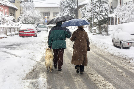 Man, woman and dog walking on the street while snowingの写真素材
