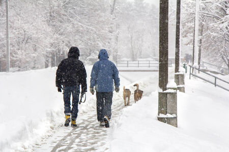 Two men and two dogs walking on snowy blizzardの写真素材
