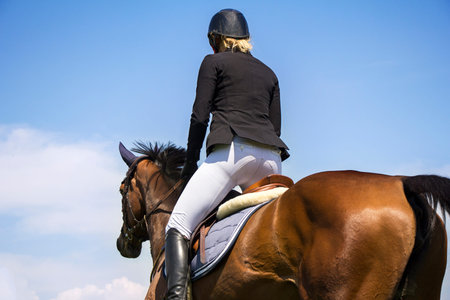 A rider on horseback competing in equestrian tournament