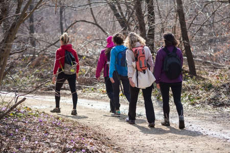 Group young women during hiking in woodsの写真素材