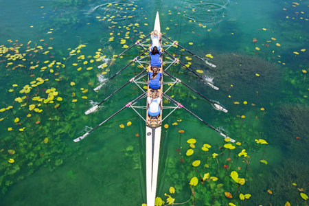 Four women rowing on the tranquil lakeの写真素材