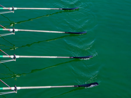Close up oars of quadruple skulls rowing team race