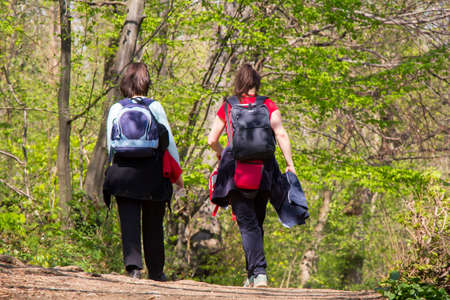 Two women going for a walk in a forestの写真素材