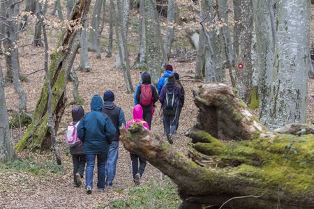 Group of young people walking by hiking trail
の写真素材