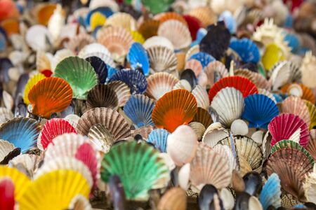 Many of Colorful seashell as background, selective focusの写真素材