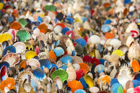 Many of Colorful seashell as background, selective focusの写真素材