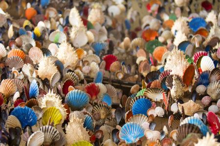 Many of Colorful seashell as background, selective focus