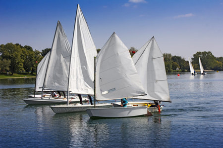 Sports sailing in Lots of Small white boats on the lake 