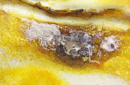 Detail of Spoiled Moldy cheese close upの写真素材