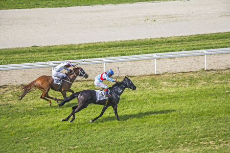 Galloping race horses and jockeys in racing competition
の写真素材