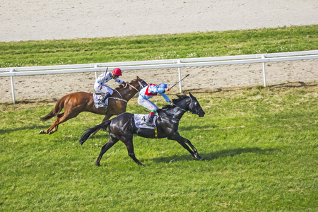 Galloping race horses and jockeys in racing competitionの写真素材