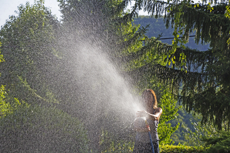 A young woman Watering a lawn in the yard of the house, a background sunlightの写真素材
