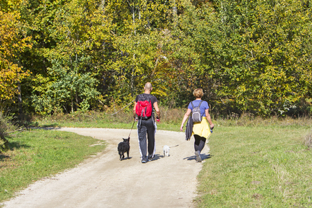 Young couple are hiking through the forest with their pet dogsの写真素材