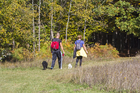 Young couple are hiking through the forest with their pet dogsの写真素材
