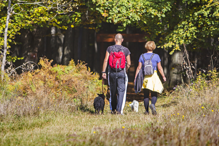 Young couple are hiking through the forest with their pet dogsの写真素材