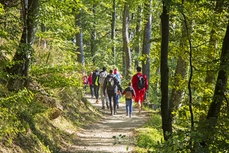 Group of people walking by hiking trail in forestの写真素材