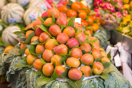 Bunch of fresh apricots for sale in marketの写真素材
