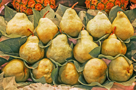 Bunch of fresh pears for sale in marketの写真素材