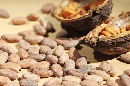 Cocoa beans and cocoa pod on a wooden table