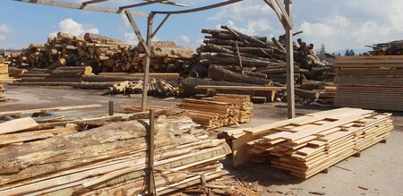 Pile of logs in a sawmill for further processingの写真素材