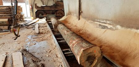 Sawing timber of machining logs in sawmillの写真素材