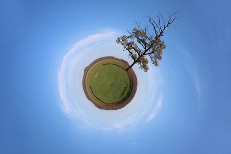 Stereographic panoramic projection of a green field with an tree. 360 degree panorama.の写真素材