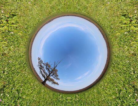 Stereographic panoramic projection of a green field with an tree. 360 degree panorama.の写真素材