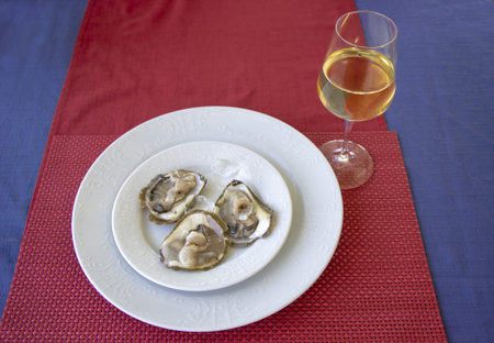 Oysters in ice on a white plate and glass of white wineの写真素材