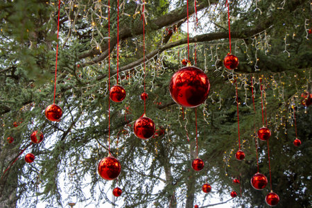 Christmas decoration with with red Christmas balls on a tree in a city parkの写真素材