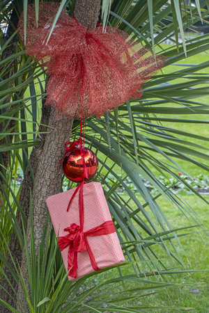 Christmas decoration with with red Christmas ball and a gift package on palm treesの写真素材