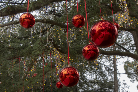 Christmas decoration with with red Christmas balls on a tree in a city parkの写真素材