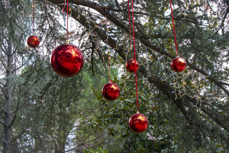 Christmas decoration with with red Christmas balls on a tree in a city parkの写真素材